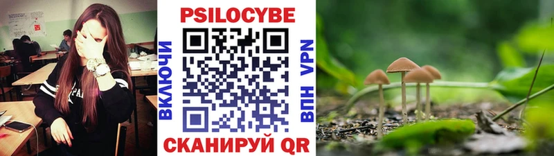omg ТОР  Зеленоградск  Галлюциногенные грибы Psilocybe 